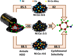 Graphical abstract: Anisole hydrodeoxygenation over Ni–Co bimetallic catalyst: a combination of experimental, kinetic and DFT study