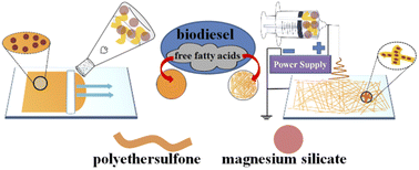 Graphical abstract: Preparation of polyethersulfone/magnesium silicate membranes via casting and electrospinning and their application in the removal of free fatty acids from biodiesel