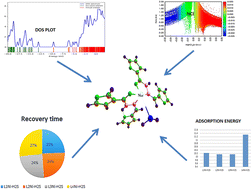 Graphical abstract: Computational design and molecular modeling of the interaction of nicotinic acid hydrazide nickel-based complexes with H2S gas