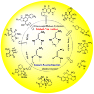 Graphical abstract: Nitroenediamines (EDAMs), and N-methyl-1-(methylthio)-2-nitroethenamine (NMSM) derivatives: scaffolds for heterocycle molecular diversity (update from 2012 to 2021)