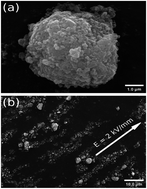 Graphical abstract: Enhanced response of titanium doped iron(ii) oxalate under electric field