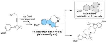 Graphical abstract: A gold(i)-catalysed approach towards harmalidine an elusive alkaloid from Peganum harmala