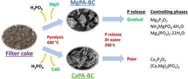 Graphical abstract: Tailoring the phosphorus release from biochar-based fertilizers: role of magnesium or calcium addition during co-pyrolysis