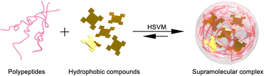 Graphical abstract: Formulation of water-dispersible hydrophobic compound nanocomplexes with polypeptides via a supramolecular approach using a high-speed vibration milling technique