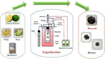 Graphical abstract: Citrus limetta fruit waste management by liquefaction using hydrogen-donor solvent