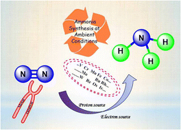 Graphical abstract: Ammonia from dinitrogen at ambient conditions by organometallic catalysts