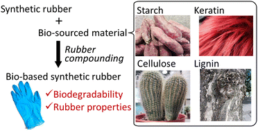 Graphical abstract: Recent development of biodegradable synthetic rubbers and bio-based rubbers using sustainable materials from biological sources