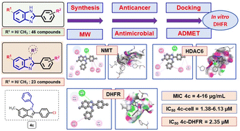Graphical abstract: N,2,6-Trisubstituted 1H-benzimidazole derivatives as a new scaffold of antimicrobial and anticancer agents: design, synthesis, in vitro evaluation, and in silico studies