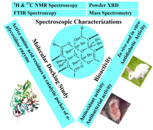 Graphical abstract: Biologically potent organotin(iv) complexes of N-acetylated β-amino acids with spectroscopic, X-ray powder diffraction and molecular docking studies