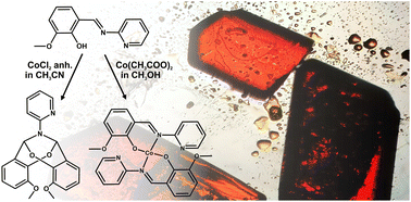 Graphical abstract: Reactions of cobalt(ii) chloride and cobalt(ii) acetate with hemisalen-type ligands: ligand transformation, oxidation of cobalt and complex formation. Preliminary study on the cytotoxicity of Co(ii) and Co(iii) hemisalen complexes