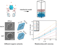 Graphical abstract: Effect of organic solvents on calcium minodronate crystal morphology in aqueous solution: an experimental and theoretical study