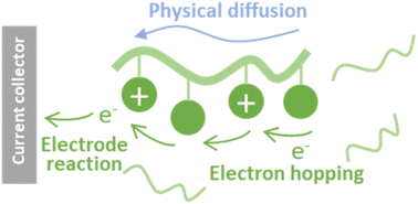 Graphical abstract: Charge-transport kinetics of dissolved redox-active polymers for rational design of flow batteries