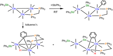 Graphical abstract: Reactions of diphosphine-stabilized Os3 clusters with triphenylantimony: syntheses and structures of new antimony-containing Os3 clusters via Sb–Ph bond cleavage