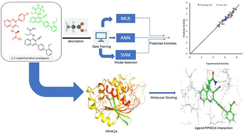 Graphical abstract: Modelling PIP4K2A inhibitory activity of 1,7-naphthyridine analogues using machine learning and molecular docking studies