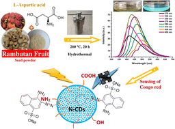 Graphical abstract: Rambutan seed waste-derived nitrogen-doped carbon dots with l-aspartic acid for the sensing of Congo red dye