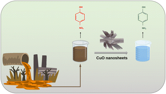 Graphical abstract: Catalytic performance of PVP-coated CuO nanosheets under environmentally friendly conditions