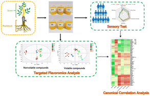 Graphical abstract: Effects of rootstocks on the flavor quality of huanglongbing-affected sweet orange juices using targeted flavoromics strategy