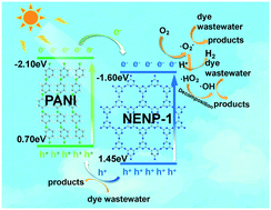 Graphical abstract: An investigation on PANI/NENP-1 composite as a novel photocatalyst for photocatalytic dye wastewater degradation and photocatalytic hydrogen evolution