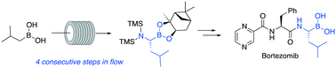 Graphical abstract: Flow synthesis of an α-amino boronic ester as a key precursor of bortezomib drug