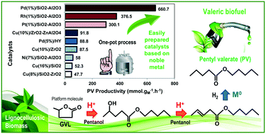 Graphical abstract: Production of pentyl valerate from γ-valerolactone, pentanol and H2 using Pd and Rh-based bifunctional catalysts