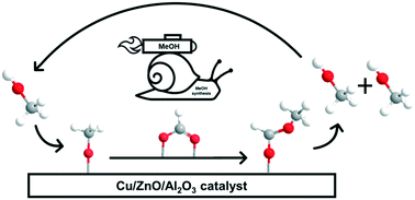 Graphical abstract: Probing the methanol-assisted autocatalytic formation of methanol over Cu/ZnO/Al2O3 by high-pressure methanol and methyl formate pulses