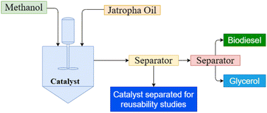 Graphical abstract: Production of biodiesel: kinetics and reusability studies of the Mg–Al hydrotalcite catalyst using Jatropha oil