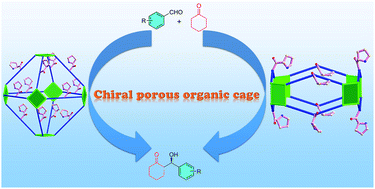 Graphical abstract: Chiral proline-substituted porous organic cages in asymmetric organocatalysis