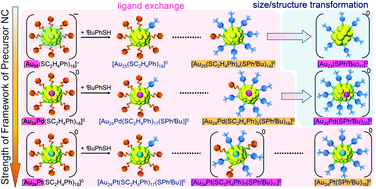 Graphical abstract: Selective formation of [Au23(SPhtBu)17]0, [Au26Pd(SPhtBu)20]0 and [Au24Pt(SC2H4Ph)7(SPhtBu)11]0 by controlling ligand-exchange reaction