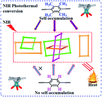 Graphical abstract: Highly selective synthesis and near-infrared photothermal conversion of metalla-Borromean ring and [2]catenane assemblies