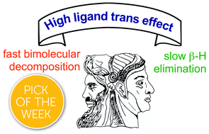 Graphical abstract: The Janus face of high trans-effect carbenes in olefin metathesis: gateway to both productivity and decomposition