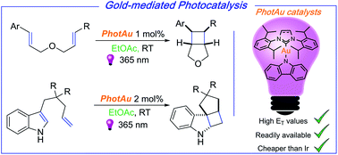 Graphical abstract: Energy transfer (EnT) photocatalysis enabled by gold-N-heterocyclic carbene (NHC) complexes