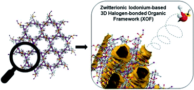 Graphical abstract: Zwitterionic iodonium species afford halogen bond-based porous organic frameworks