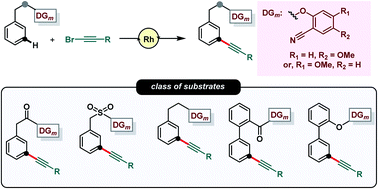 Graphical abstract: Directing group assisted rhodium catalyzed meta-C–H alkynylation of arenes