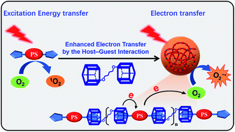 Graphical abstract: A host–guest strategy for converting the photodynamic agents from a singlet oxygen generator to a superoxide radical generator