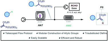 Graphical abstract: Modular allylation of C(sp3)–H bonds by combining decatungstate photocatalysis and HWE olefination in flow
