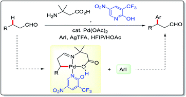 Graphical abstract: Ligand-promoted palladium-catalyzed β-methylene C–H arylation of primary aldehydes