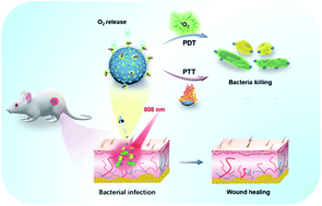 Graphical abstract: Oxygen-supplied mesoporous carbon nanoparticles for enhanced photothermal/photodynamic synergetic therapy against antibiotic-resistant bacterial infections