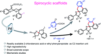 Graphical abstract: Regioselective synthesis of spirocyclic pyrrolines via a palladium-catalyzed Narasaka–Heck/C–H activation/[4 + 2] annulation cascade reaction