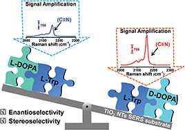 Graphical abstract: Understanding of chiral site-dependent enantioselective identification on a plasmon-free semiconductor based SERS substrate