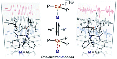Graphical abstract: One-electron bonds in copper–aluminum and copper–gallium complexes