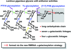 Graphical abstract: Total synthesis of Lentinus giganteus glycans with antitumor activities via stereoselective α-glycosylation and orthogonal one-pot glycosylation strategies