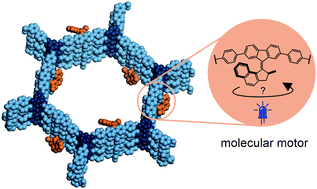 Graphical abstract: Light-driven molecular motors embedded in covalent organic frameworks