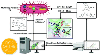 Graphical abstract: Discovery of novel drug-like antitubercular hits targeting the MEP pathway enzyme DXPS by strategic application of ligand-based virtual screening
