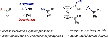 Graphical abstract: Nickel-catalysed diversification of phosphine ligands by formal substitution at phosphorus