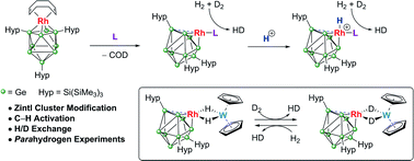 Graphical abstract: Zintl cluster supported low coordinate Rh(i) centers for catalytic H/D exchange between H2 and D2