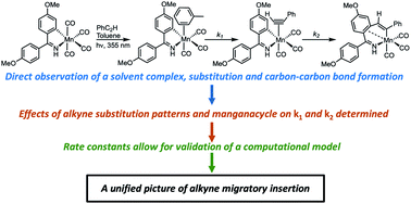 Graphical abstract: A comprehensive understanding of carbon–carbon bond formation by alkyne migratory insertion into manganacycles