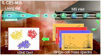 Graphical abstract: Intact living-cell electrolaunching ionization mass spectrometry for single-cell metabolomics