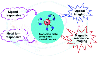 Graphical abstract: Bioimaging agents based on redox-active transition metal complexes