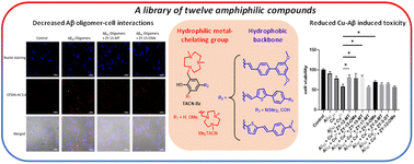 Graphical abstract: Amphiphilic stilbene derivatives attenuate the neurotoxicity of soluble Aβ42 oligomers by controlling their interactions with cell membranes