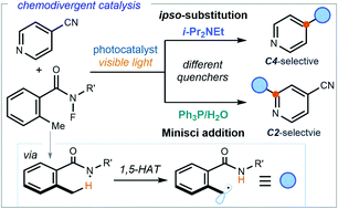 Graphical abstract: Switchable photocatalysis for the chemodivergent benzylation of 4-cyanopyridines